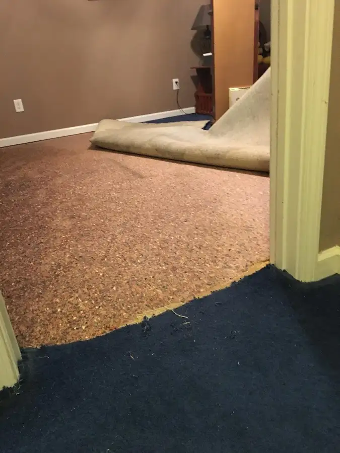 Carpet pad removal revealing water damage during Water Mitigation Services in Hamtramck
