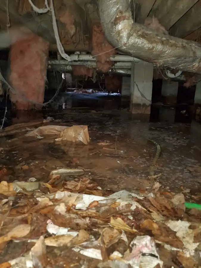 Crawl space flood assessment for Commercial Water Damage Restoration in Hamtramck