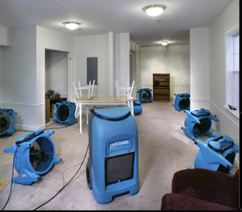 Air movers and dehumidifier setup for Water Extraction & Removal in Hamtramck