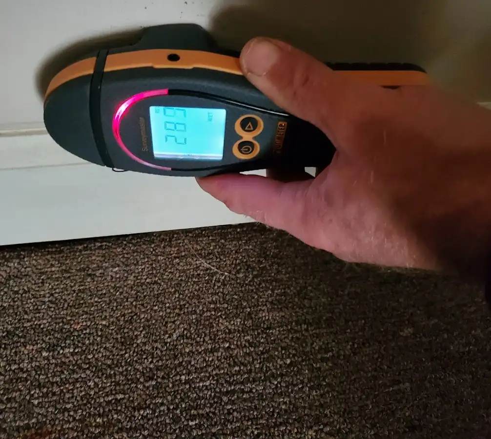 Moisture detection at baseboard during Mold Inspection & Testing in Hamtramck